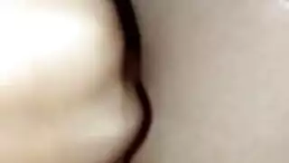 زونجيا لعب الديك ديكتورة