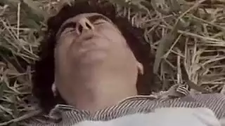 مص قضيب الحصان: جنس حيوانات صريح