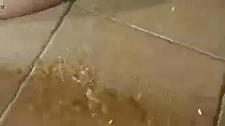 إذلال بصق صفع نيك الجبهة