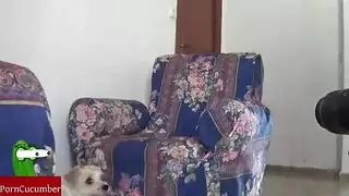 بينام مع امو فسرير مترجم