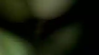 مثلي الجنس سياحي